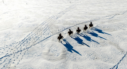雪原上的騎警隊